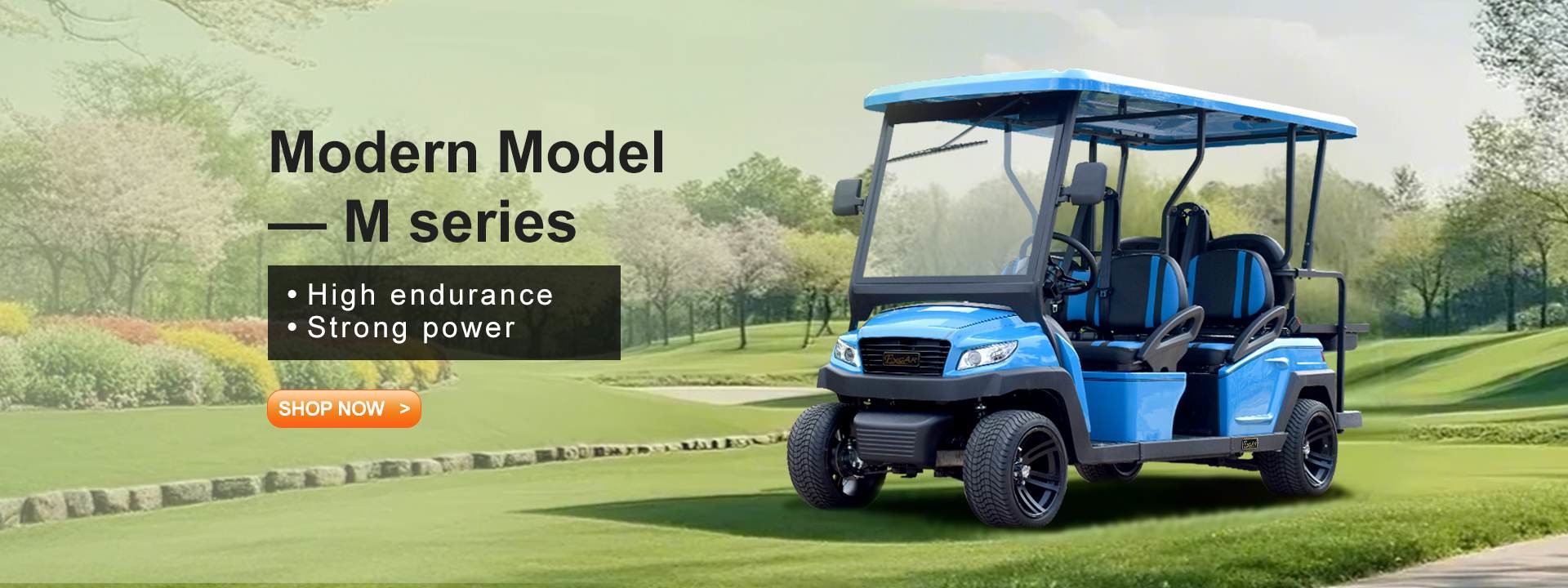Qualität Elektrische Golfcarts Fabrik