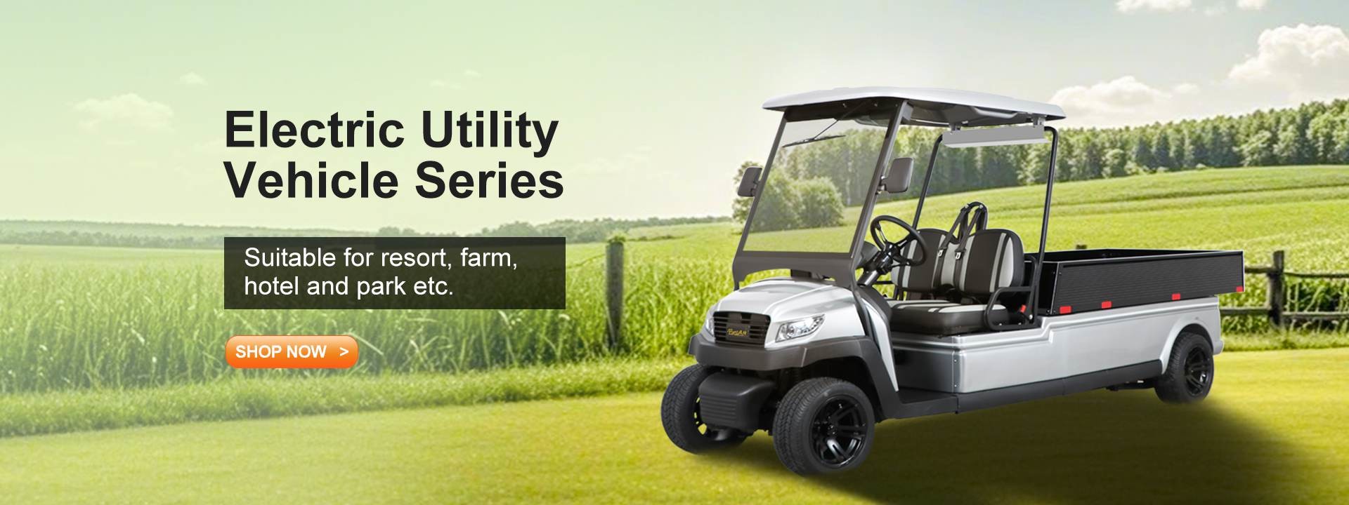 Qualität Elektrische Golfcarts Fabrik