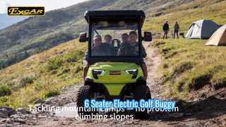 Ein genauerer Blick: Mehrzweck-Elektro-Golfbuggy mit 6 Sitzen und hochklappbarem Rücksitz, farblich anpassbar