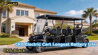 CK6 Schwarze elektrische Golfwagen
