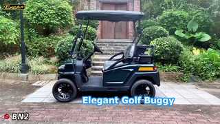 BN2 dunkelgrün Sehen Sie, warum Sie sich für einen angehobenen, eleganten Elektro-Golfbuggy mit 2 Sitzen und 48-V-Lithiumbatterie entscheiden sollten