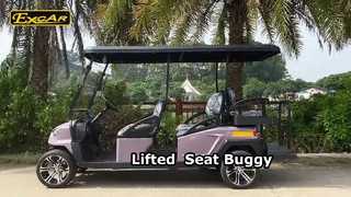 BN4+2 Dusty Lavender Bequemer elektrischer Golfbuggy mit 4 Sitzen und 2 hinten