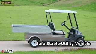 A1H2 Champagne Gold Dieses elektrische Mehrzweck-Nutzfahrzeug bietet Sicherheit und Stabilität auf lange Sicht