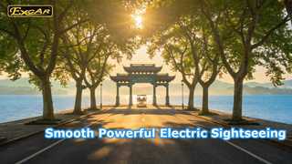 Elektrisches Sightseeing-Auto D-G8