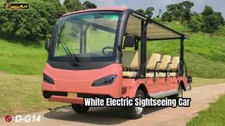 D-G14 White View EXCAR Elektro-Sightseeing-Auto 72V 210Ah Lithiumbatterie