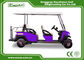 6 Seater Fuel Type Electric Passenger Car Purple With Italian Axle