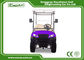 6 Seater Fuel Type Electric Passenger Car Purple With Italian Axle