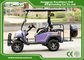 Excar 2 seats Hunting Carts With Trojan Battery/Curtis Controller