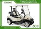 Street Legal Small Custom Electric Golf Carts For 2 Person , CE Approved